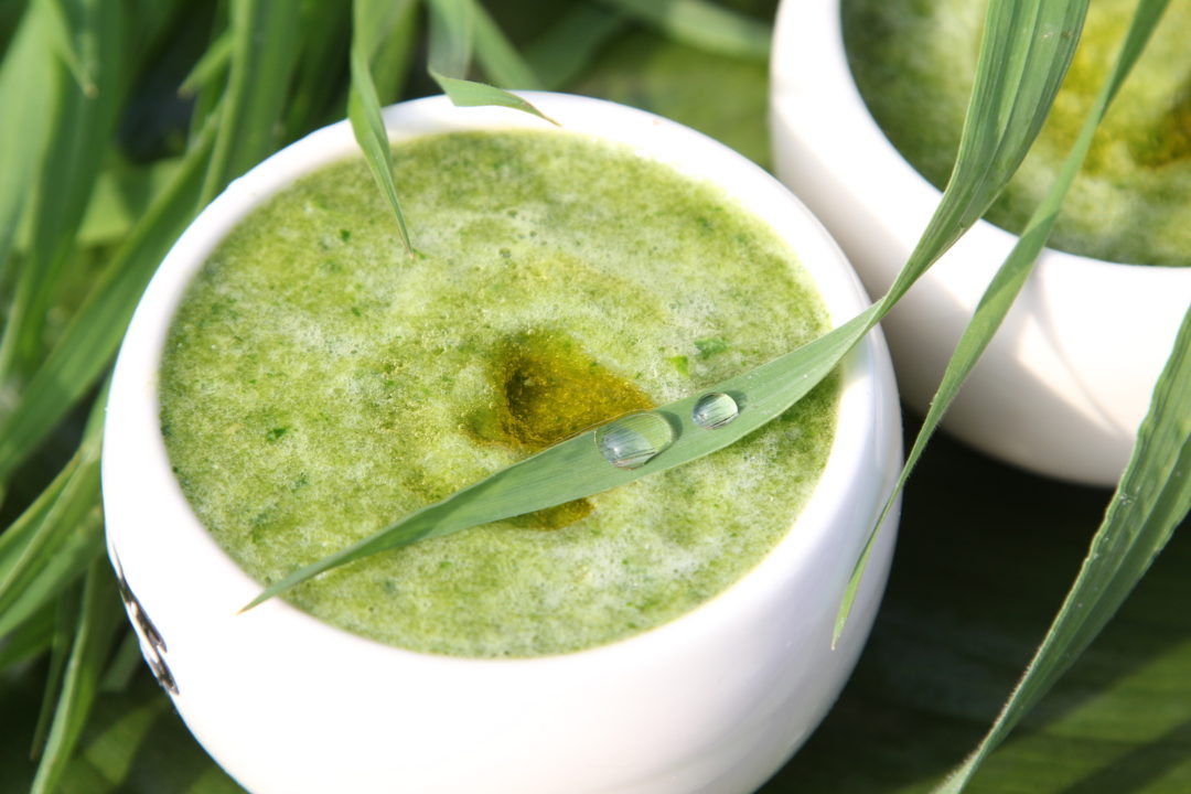 Wild fresh grass juice Simply Sentient