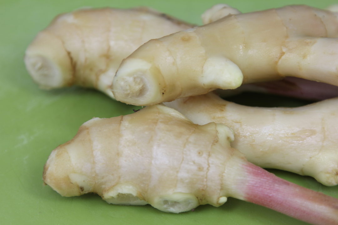 Image result for ginger pickles
