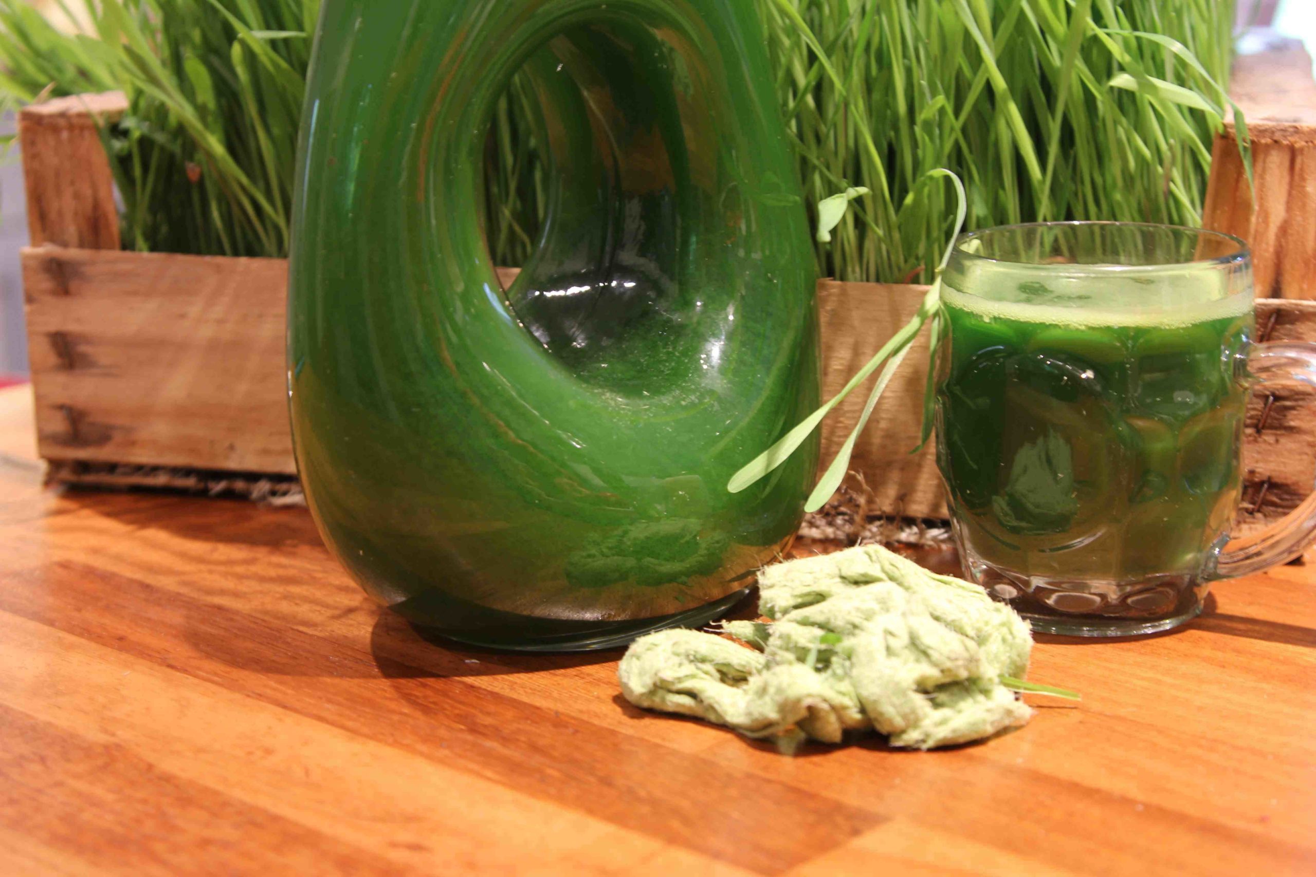 Featured image of post How to Make Wheatgrass Recipes For Juicing