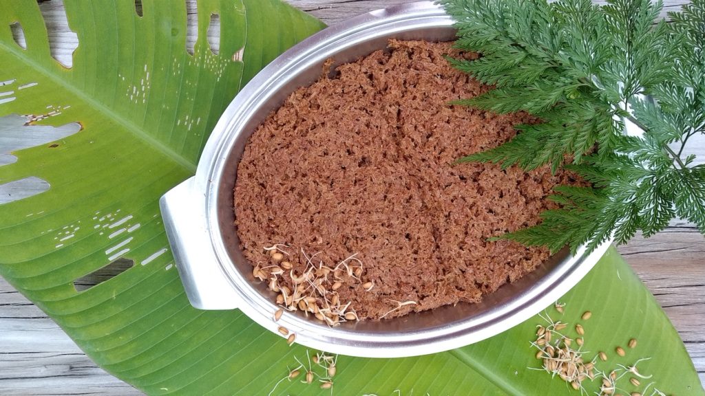 Essence Sprout Bread Simply Sentient