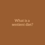 Vegetarian diets have become popular during the past 40 years, but the vegetarian diet that is important to those who practice yoga and meditation is still not well understood.

The yogic vegetarian diet is centred around foods that affect the mind as well as the body, which makes it different from other types of vegetarian systems.

A Sentient Diet, which contains no onion, no garlic, no mushroom, no egg, and no meat, is prepared according to Ayurvedic and Yogic principles, is definitively good for your body, mind, and soul.

Stay with us for recipes and useful lifestyle tips